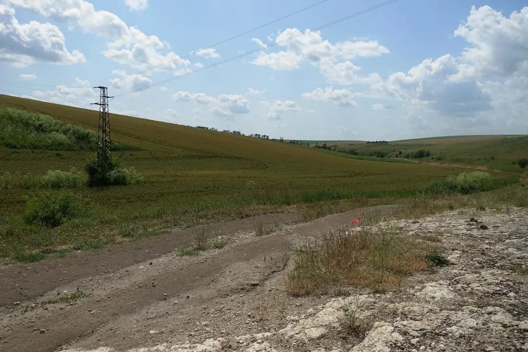 Arta întunecată a terenului: Cei mai cunoscuți duri din fotbalul modern